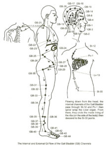 GallBladder