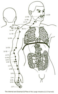 LargeIntestine