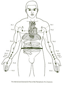 Pericardium